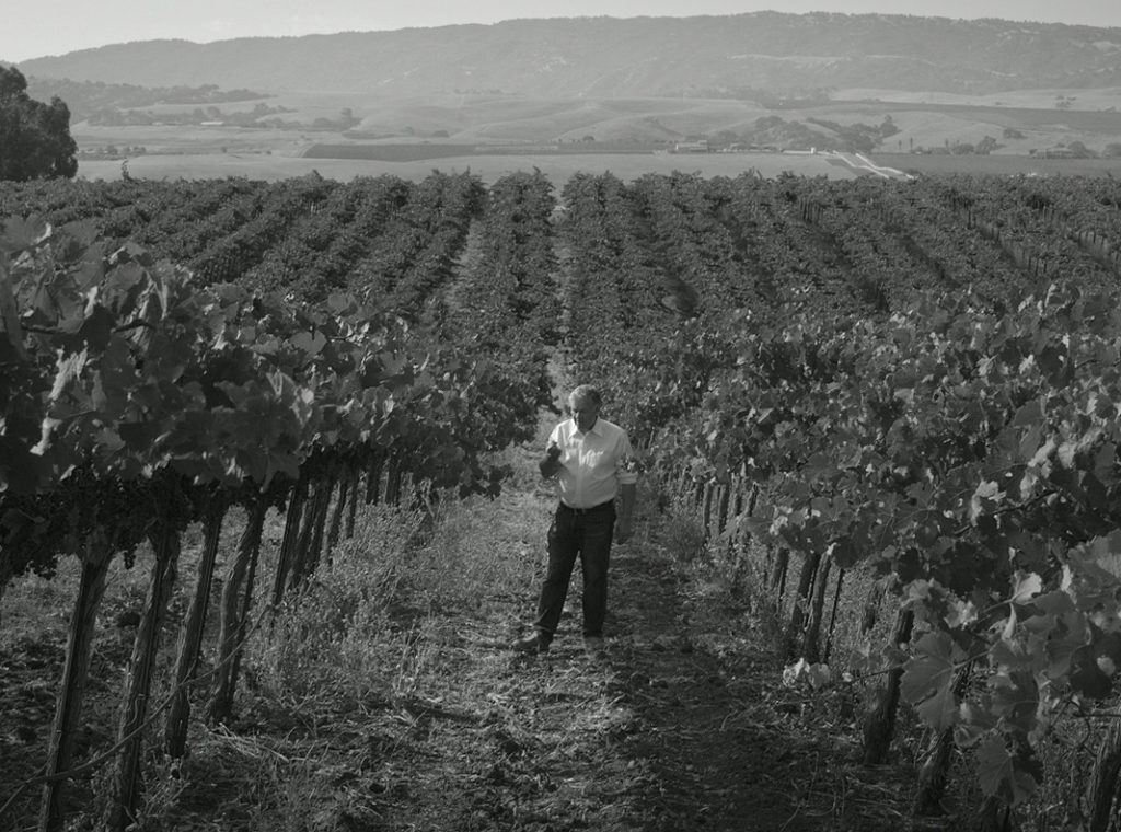 A decorative picture of John Kinney in the vineyard