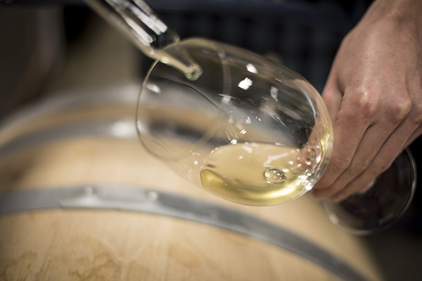 a glass of chardonnay being pulled from the barrel
