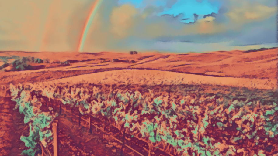 watercolor of wildcat mountain vineyard with a rainbow