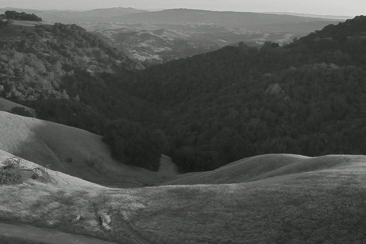 Livermore Valle from the top of Mount Diablo in black and white
