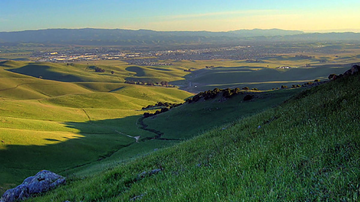 A COLOR PHOTOGRAPH OF LIVERMORE VALLEY FROM THE WEST DURING SPRING GREEN