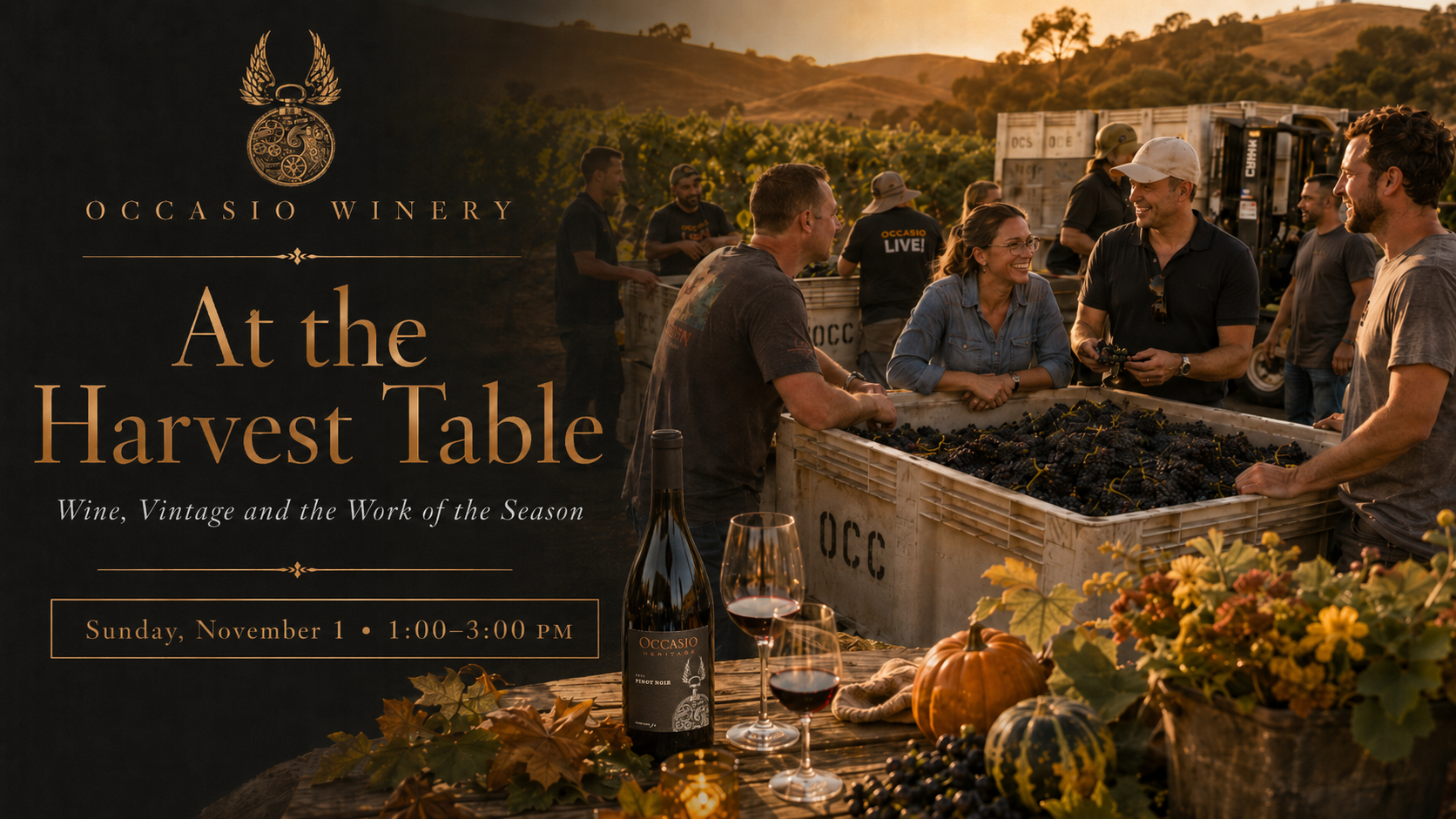 Hero image for Occasio Winery’s “At the Harvest Table” event, showing a golden sunset harvest scene with winery staff gathered around a grape bin in the vineyard, a dark left panel with the event title and date, and a foreground table with a Pinot Noir bottle, two glasses of red wine, pumpkins, autumn leaves, grapes, and seasonal flowers.